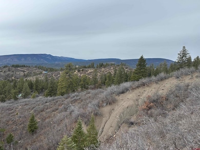 248 Jennifer's Place, Pagosa Springs, CO 81147 - photo 6