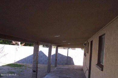 Back Patio