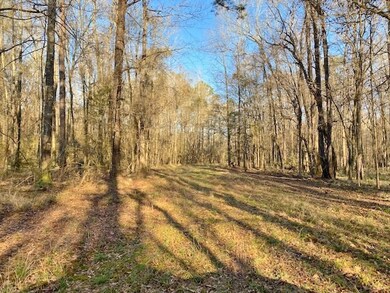 375 Ginntown Rd, Tylertown, MS 39667 - photo 3