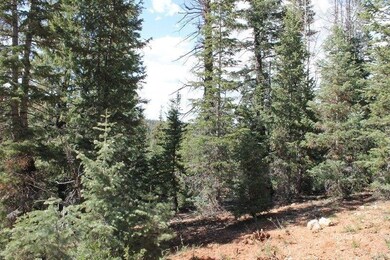 150 N Apache Trail-Scp-1a-165, Duck Creek Village, UT 84762 - photo 5