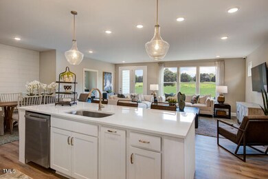 Kitchen Open to Family Room