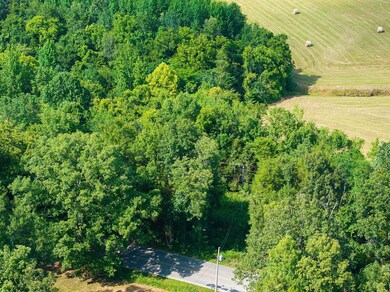 0 Highway 100 unit RTC2946938, Decaturville, TN 38329 - photo 6