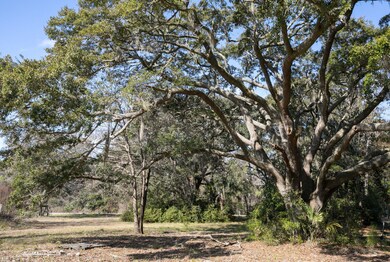 5-web-or-mls-5-2591 Bohicket-MLS