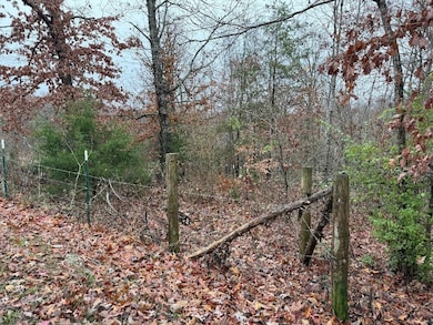 699 Wolf Rd, Upper Tygart, KY 41164 - photo 2