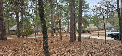 Frontview from home