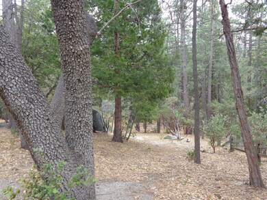 Cedar Glen