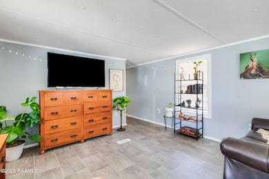 101 Catahoula Rd, Carencro, LA 70520 - photo 4