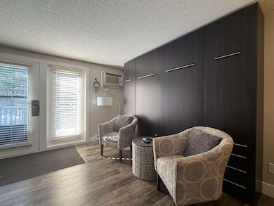 1093 Canyon Rd unit 406, Wisconsin Dells, WI 53965 - photo 6