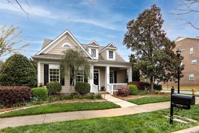 Lovely Old Magnolia Lane