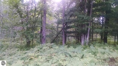 NKA Davis, Au Gres, MI 48703 - photo 2