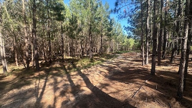 0 Dorsey Clark Rd unit 23736139, Sylvania, GA 30467 - photo 4