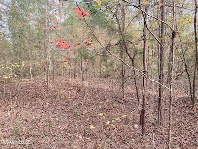 0 Massey Rd, Kosciusko, MS 39090 - photo 5