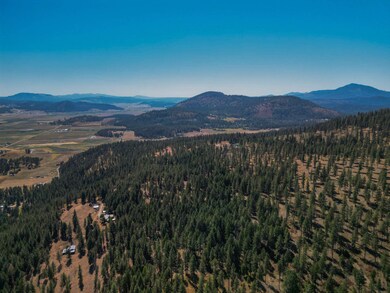 22XX Pine Rose Lot 1 Way, Chewelah, WA 99109 - photo 5