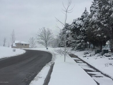 Conservation Community in the Snow1