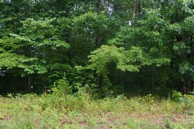 Lot 32 N Shady Lane Loop, Clarkrange, TN 38553 - photo 3
