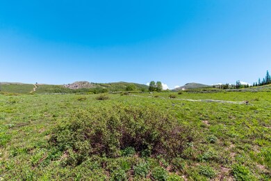 1880 W Mountain Haven Ln, Midway, UT 84049 - photo 6