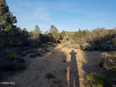 0 Big Pines Hwy unit 225005664, Big Pines, CA 93544 - photo 3