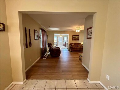 302 E Green Tree Ln, Farmington, MO 63640 - photo 6