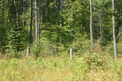 0 Buffam Rd, Pelham, MA 01002 - photo 7