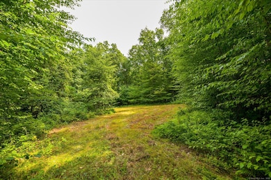 0 Aplin Hill Ln, Woodstock, CT 06282 - photo 5