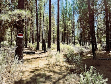 Lot 6