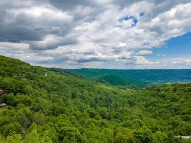 Starry Nights Dr, Fancy Gap, VA 24328 - photo 6