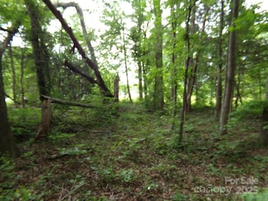 1.5 Ac Pinckney Rd, Chester, SC 29706 - photo 7