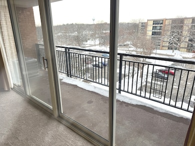 6010 Oakwood Dr unit 5D, Lisle, IL 60532 - photo 7