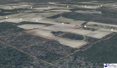 0 S Carolina 9, Nichols, SC 29581 - photo 7