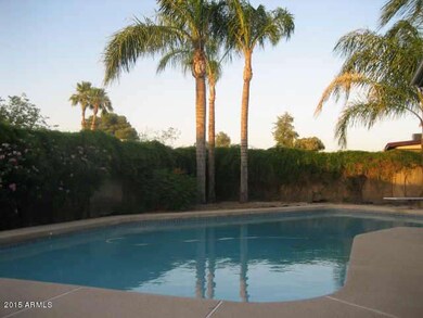 HUGE SPARKLING POOL