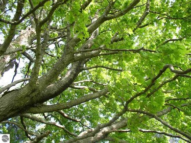 . N Walnut, Bitely, MI 49309 - photo 5