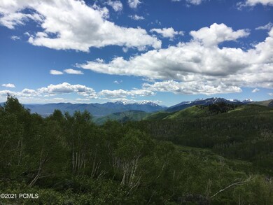 1747 W Mountain Haven Ln, Midway, UT 84049 - photo 5