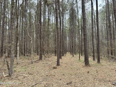 Robinson Rd Lot: 1, Canton, MS 39046 - photo 2