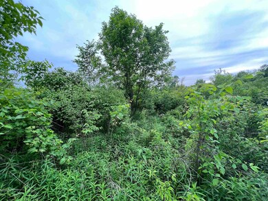 12524 Aboite Rd, Roanoke, IN 46783 - photo 6