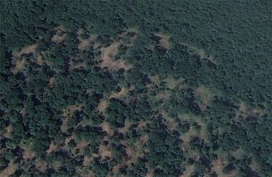 0 Arkansas 265, West Fork, AR 72774 - photo 4