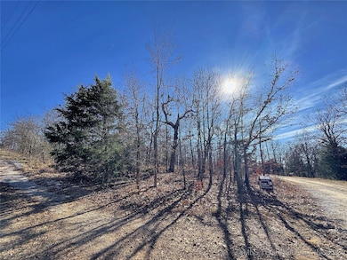 95001 S 4556 Rd, Vian, OK 74962 - photo 4