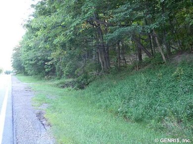 Land/Lot. Here is another view of the road frontag