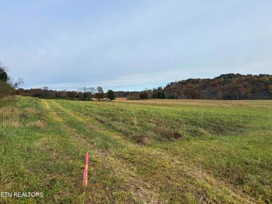 7662 Haws Rd, Knoxville, TN 37920 - photo 5