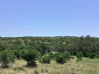Lone Star Ranch Tract 71, Rocksprings, TX 78880 - photo 2