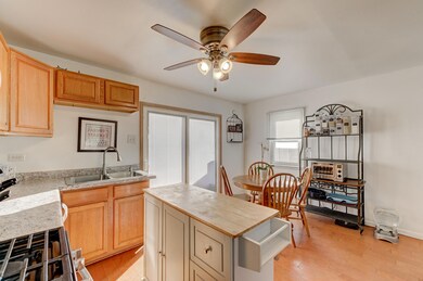 9101 Sheffield Ave, Dyer, IN 46311 - photo 3