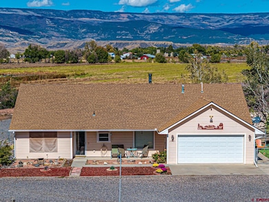 20465 Iris Rd, Austin, CO 81410 - photo 2