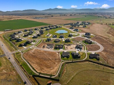 Bird's eye view featuring a mountain view and a ru