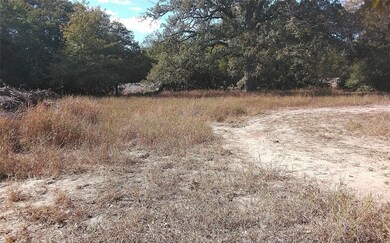 2565 5 Mile Creek Rd, Flatonia, TX 78941 - photo 5