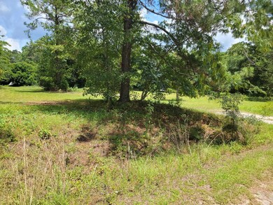 0 E 38th St unit 134290, Tifton, GA 31794 - photo 2