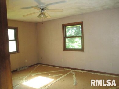 321 Ferry Rd, Geneseo, IL 61254 - photo 3