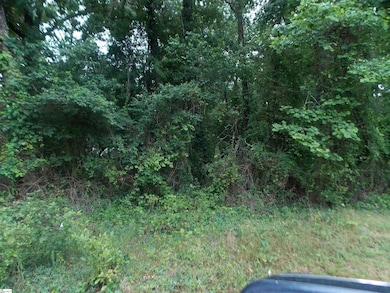 311AA Shirley Rd, Piedmont, SC 29673 - photo 2