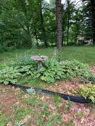 1102 East St, Ludlow, MA 01056 - photo 4