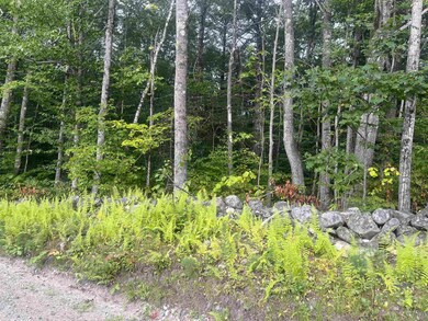 0 Monument Rd unit 5055384, Richmond, NH 03470 - photo 3