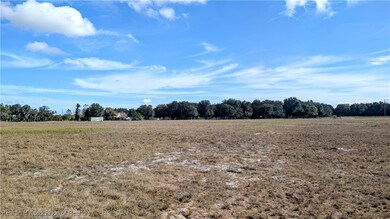 4492 Alderman Rd, Bowling Green, FL 33834 - photo 4
