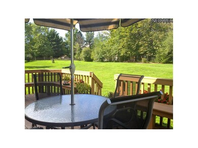 View from back deck